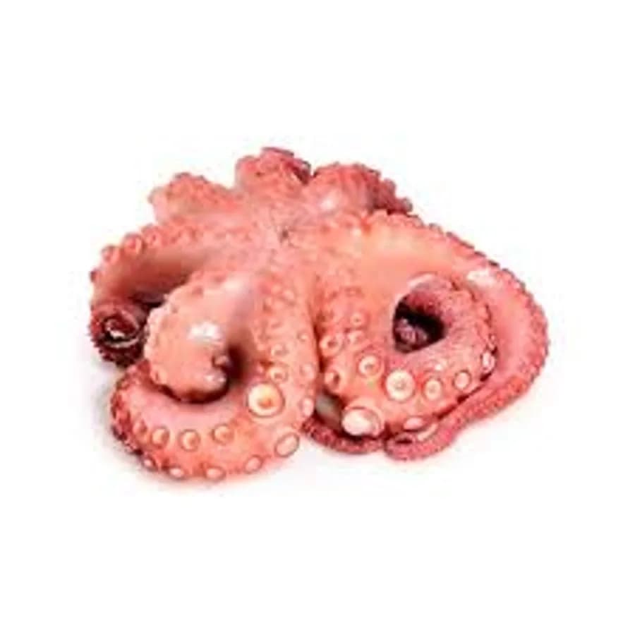 Pulpo